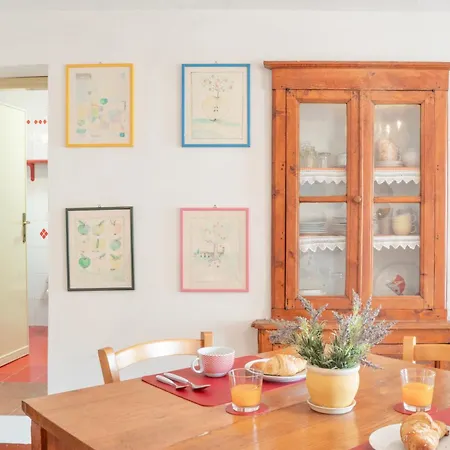 Maya Apartment